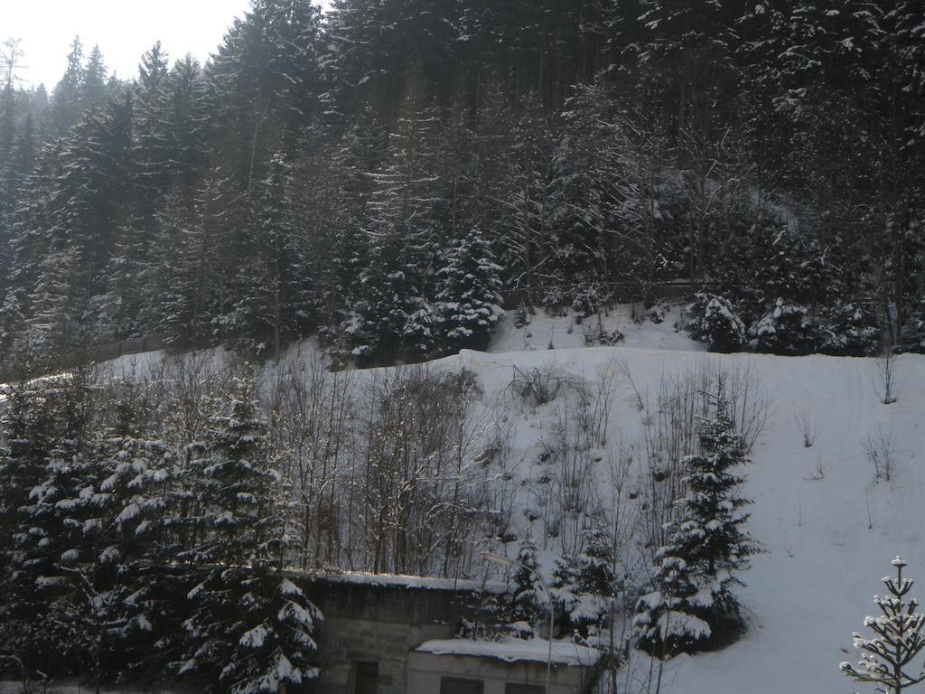Appartement Schlosser Zell am See Esterno foto